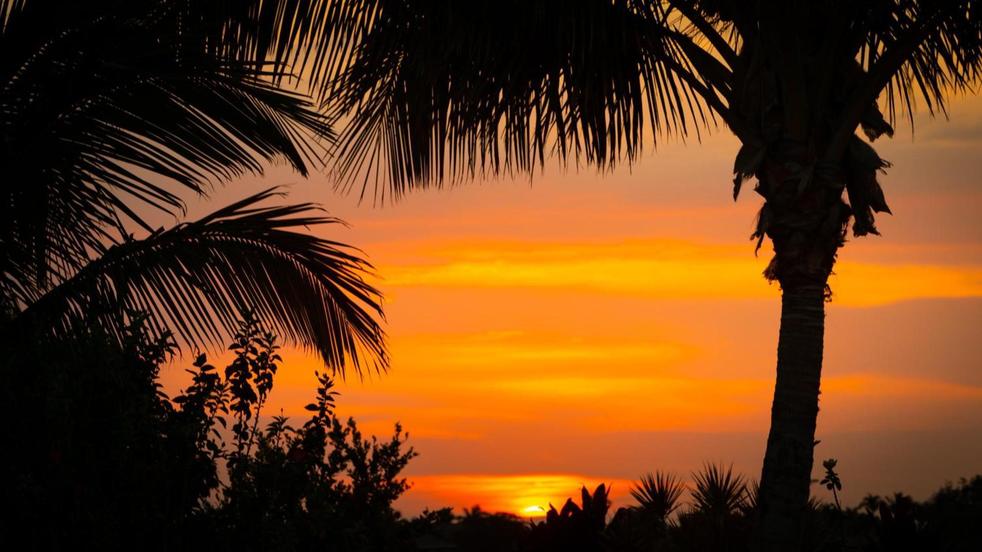 Starry Nights Dreamy 4Br Ainamalu Home With Mountain View Waikoloa Exterior foto